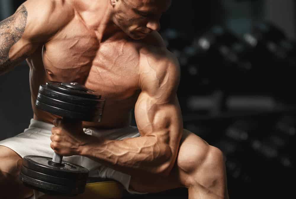 ratios-ganancia-muscular ratios ganancia muscular