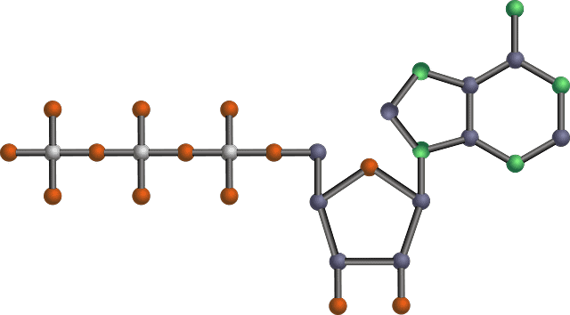 Trifosfato de adenosina