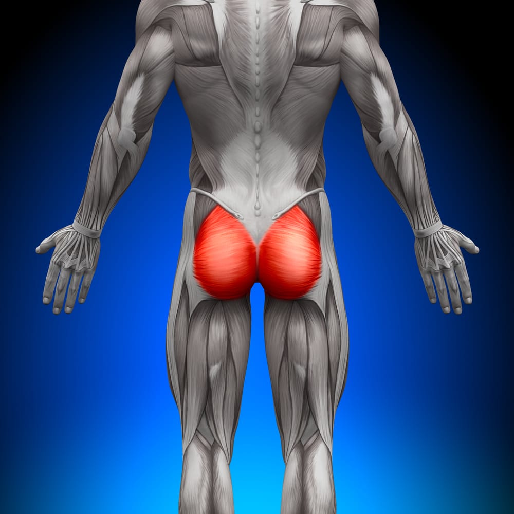 gluteos
